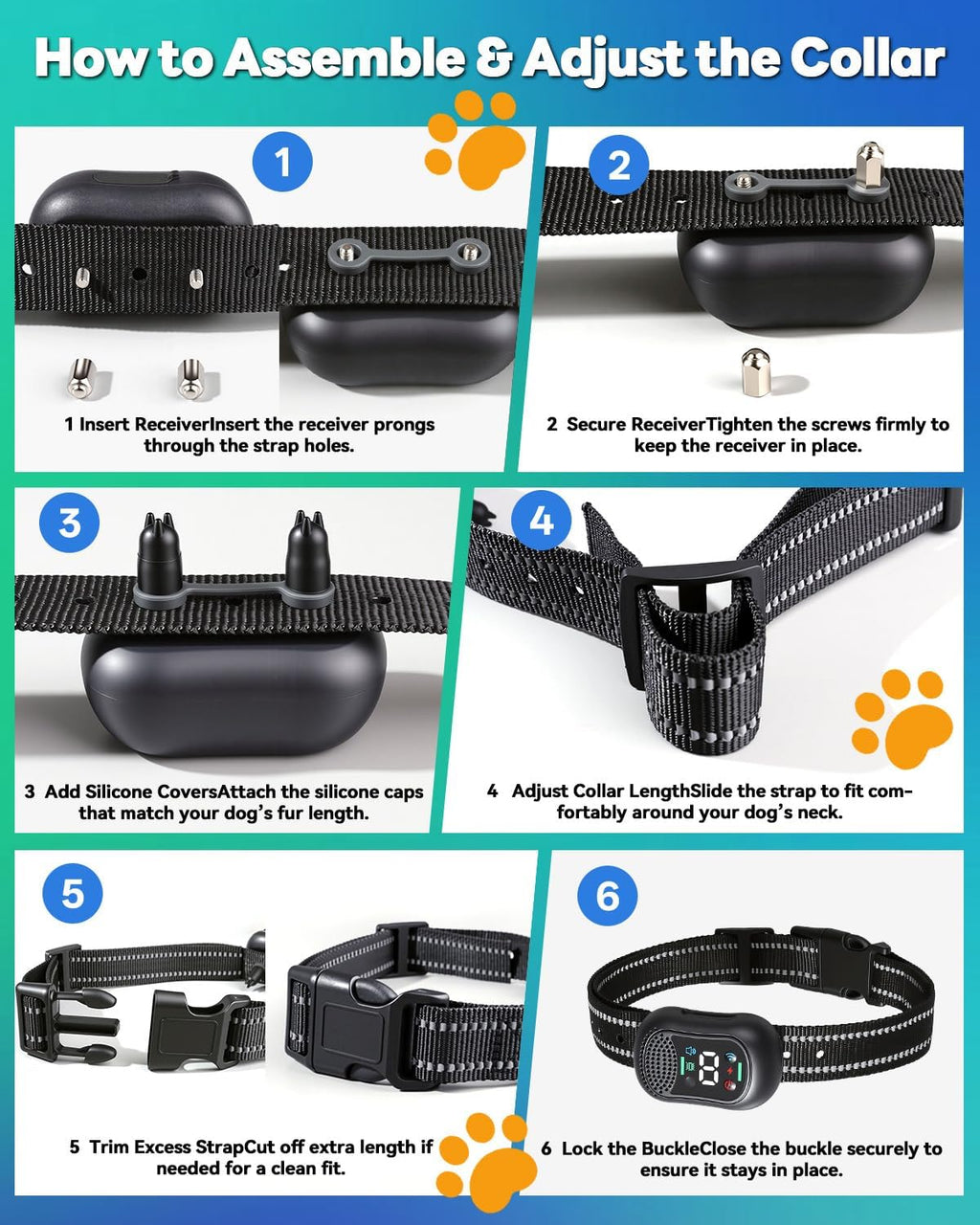 how to assemble and adjust the training collar step by step
